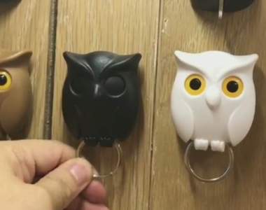 QUALY《貓頭鷹鑰匙扣》使用請小心真正的貓頭鷹是不會鳥你der