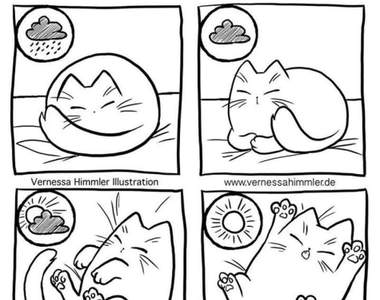 貓的日常插畫《鏟屎官生活》原來能從貓的睡姿分辨天氣狀況w