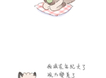 貓貓五四三 第2話 貓貓五四三 第2話
