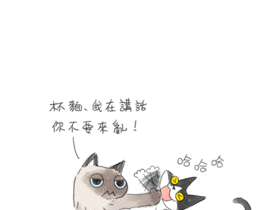 貓貓五四三 第3話