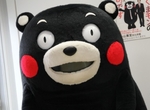 出包痴漢走向世界《熊本熊也要動畫化了ღ》預定2019年向全球播放 出包痴漢走向世界《熊本熊也要動畫化了ღ》預定2019年向全球播放