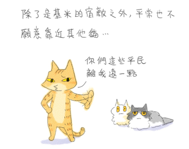 貓貓五四三 第5話