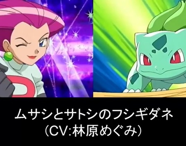 《精靈寶可夢》你可能不知道這個人跟這隻寶可夢是同一聲優