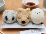 《北海道可愛動物飯糰》端出這可愛飯糰的夢幻居酒屋竟然不存在!? 《北海道可愛動物飯糰》端出這可愛飯糰的夢幻居酒屋竟然不存在!?