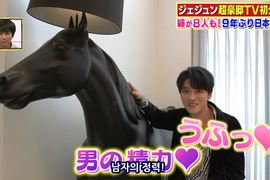 日本綜藝公開《金在中新家》家裡那匹馬意外成為男主角