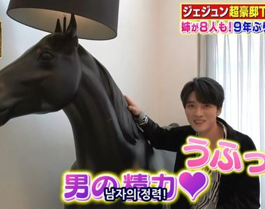 日本綜藝公開《金在中新家》家裡那匹馬意外成為男主角