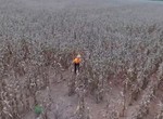 《無人機拍到最嚇人的畫面》在沒人的地方展現自我都會被拍到... 《無人機拍到最嚇人的畫面》在沒人的地方展現自我都會被拍到...