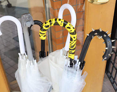 《雨傘防盜對策》黃帶箭毒蛙著色幹傘者就等著中毒吧