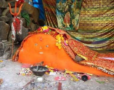 推特瘋傳《超可愛的印度神》這不是我們熟悉的＂那片鮭魚＂嗎ww