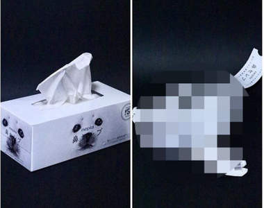 《海豹面紙盒模型》忍不住就想抽一張保濕衛生紙可愛一下(´∀`)