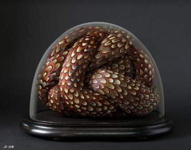 《羽毛雕塑》像極了蛇捲曲的身體但其實不是喔