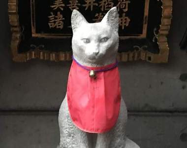 貓的神社《美喜井稲荷神社》供奉的稻荷神竟然不是狐狸而是貓咪！？