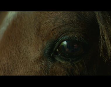 不要小看觀眾《電影穿幫鏡頭》眼睛裡的倒影也看得出錯誤