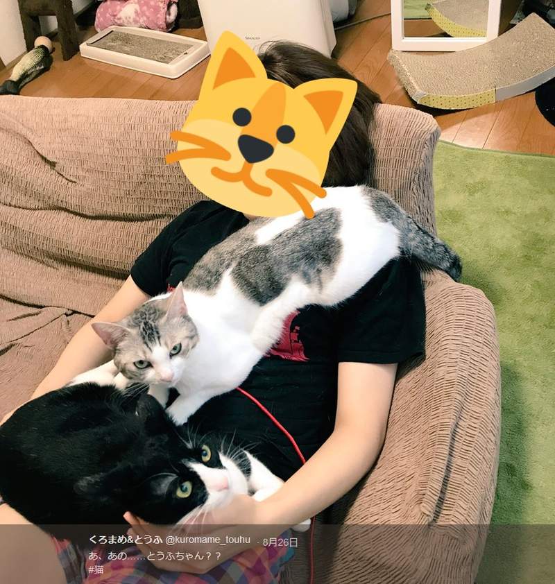 圖片2 圖片2