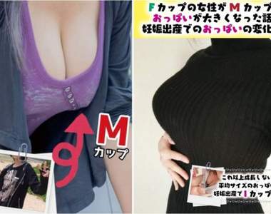 C95《巨乳成長譚本》自稱宇宙第一熱愛歐派的同人作者出本記錄巨乳的成長過程&形成原因