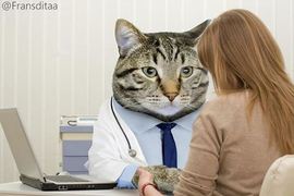 當世界都被貓咪佔領《Fransdita Muafidin》幽默畫出貓奴的理想天堂（？）