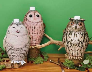 《貓頭鷹寶特瓶套》喝個飲料也能有帶貓頭鷹出門的感覺♪