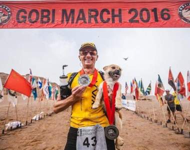 《跟著一起跑馬拉松的浪浪》比賽結束時找到新家❤但是此時故事才開始...