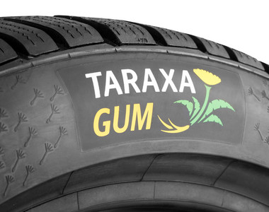 發展永續製胎原料 《蒲公英》也可以萃取《橡膠原料》?