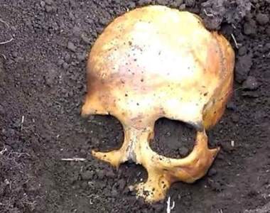 老公在花園挖出《死人骨頭》慌張問妻子卻意外發現這骨頭是...