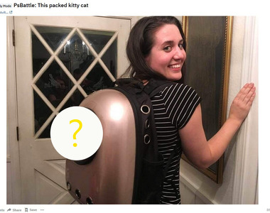 《PS改圖大賽》這次高手幫我PS主題是包包裡的扁貓