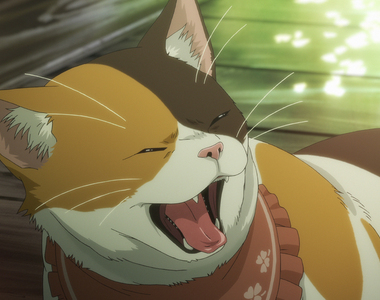 虐待動物大炎上《貓咪咖啡廳舉辦演唱會》過勞死再買新貓就好了……