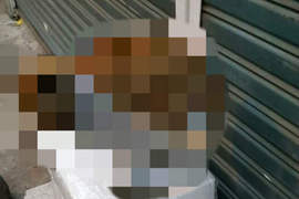 接連零下溫度《韓國路邊出現站在暖暖包上的浪浪》朕的肉球要結凍了