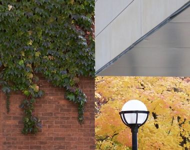 沒有經過任何後製《無P圖的奇妙照片》看起來好像合成圖喔(驚嘆)