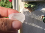 天氣這麼熱《為小青蛙獻上水》結果小青蛙就... 天氣這麼熱《為小青蛙獻上水》結果小青蛙就...