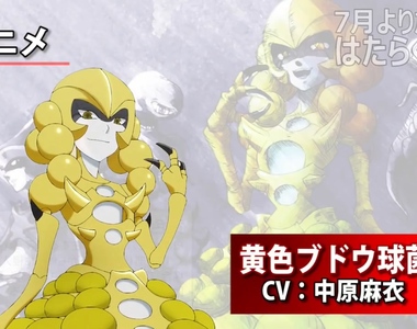 第2話《工作細胞》的《理想與現實》女王風格的金黃色葡萄球菌原來長這樣