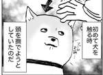 《跟狗狗打好關係的技巧》原本怕狗的人也在不知不覺中變成了狗痴❤ 《跟狗狗打好關係的技巧》原本怕狗的人也在不知不覺中變成了狗痴❤