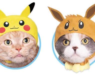 大人氣扭蛋《精靈寶可夢貓咪頭套》為吃飽睡睡飽吃度過每一天的肥貓獻上「卡比獸」頭套w