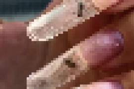 【閱覽注意】用活生生螞蟻做《螞蟻美甲》看到螞蟻在指甲內亂跑頭皮發麻...