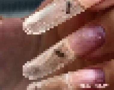 【閱覽注意】用活生生螞蟻做《螞蟻美甲》看到螞蟻在指甲內亂跑頭皮發麻...