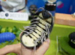 蟲蟲扭蛋《巨型潮蟲》實物登場 腳部的破壞力果然不能輕忽啊...([[[[[) 蟲蟲扭蛋《巨型潮蟲》實物登場 腳部的破壞力果然不能輕忽啊...([[[[[)