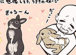 《養兔子的理想與現實》原來是有著可愛外表的毛毛暴君...ww 《養兔子的理想與現實》原來是有著可愛外表的毛毛暴君...ww