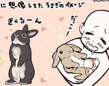 《養兔子的理想與現實》原來是有著可愛外表的毛毛暴君...ww
