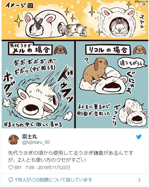 《养兔子的理想与现实》原来是有着可爱外表的毛毛暴君...ww - 图片7 《养兔子的理想与现实》原来是有着可爱外表的毛毛暴君...ww