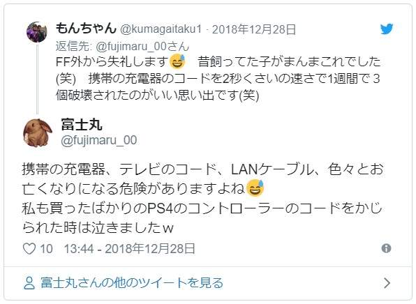 《养兔子的理想与现实》原来是有着可爱外表的毛毛暴君...ww - 图片4 《养兔子的理想与现实》原来是有着可爱外表的毛毛暴君...ww