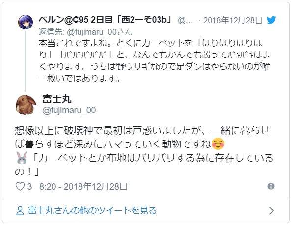 《养兔子的理想与现实》原来是有着可爱外表的毛毛暴君...ww - 图片6 《养兔子的理想与现实》原来是有着可爱外表的毛毛暴君...ww