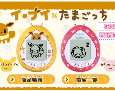精靈寶可夢《伊布電子雞》這次會養出什麼屬性的伊布呢?