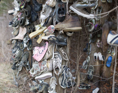 加拿大《鞋子森林》是為了什麼理由把鞋子繞滿整棵樹？