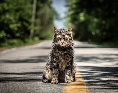 史蒂芬金《禁入墳場》新版預告公開 死人就該讓他安息 寵物也是 ......