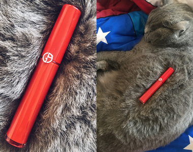美照後的秘密《把貓皇的毛當背景就可以拍出高級感》GET獲得新技能(升級)