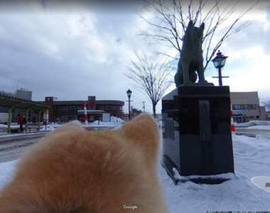 《狗狗視角的Google街景》讓可愛秋田犬帶著你透過螢幕遊故鄉