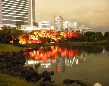 舊芝離宮恩賜庭園《秋季夜間點燈》原來是爆破場景啊