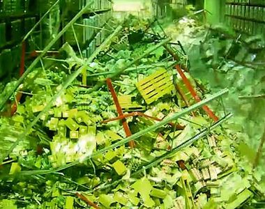 英國瘋傳《整個倉庫垮掉影片》這一切都是一個擦撞開始的...