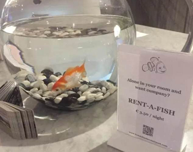  《太過貼心的飯店服務》寂寞的話可以租條魚陪你過夜