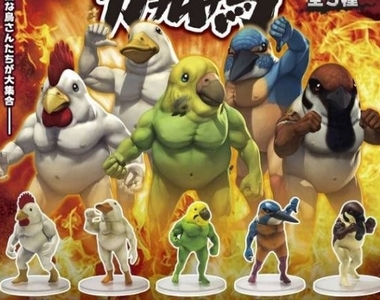 怕爆《戰鬥筋肉鳥系列推出立體化轉蛋》你有看過這麼硬派的鳥嗎？