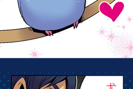 小鸚鵡飼養日記 第7話